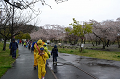DSC_1829_thumb.png