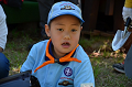 DSC_7525_thumb.png