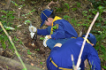 DSC_7534_thumb.png