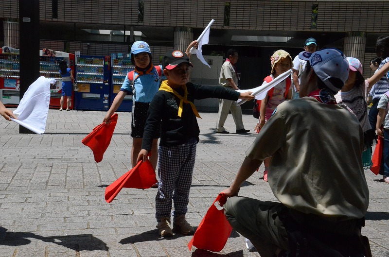 DSC_8144.jpg