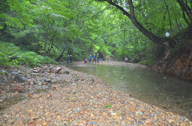 DSC_9196.jpg