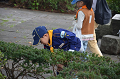 DSC_1465_thumb.png