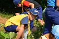 DSC_2135_thumb.png