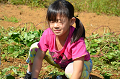 DSC_2177_thumb.png