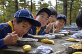 DSC_2555_thumb.png