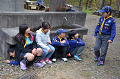 DSC_2731_thumb.png