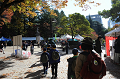 DSC_3592_thumb.png