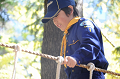 DSC_3639_thumb.png