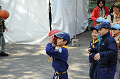 DSC_3684_thumb.png