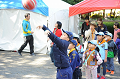 DSC_3687_thumb.png