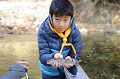 DSC_3736_thumb.png