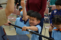 DSC_7542_thumb.png