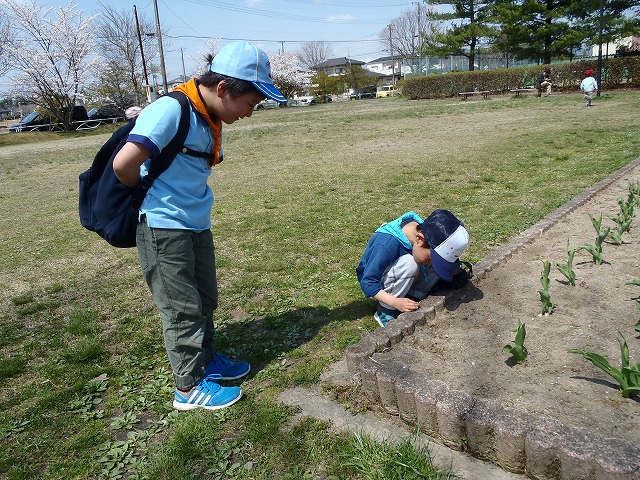 P4160137.JPG