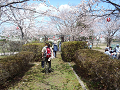 P4160138_thumb.png