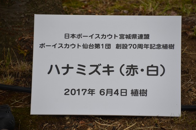 DSC_1510.jpg