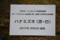 DSC_1510_thumb.png