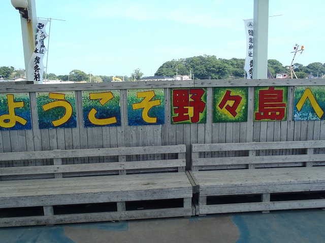P7090243.jpg