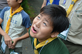 DSC_4010_thumb.png