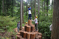 DSC_4078_thumb.png