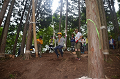 DSC_4168_thumb.png