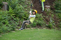 DSC_4246_thumb.png