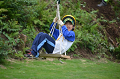 DSC_4321_thumb.png