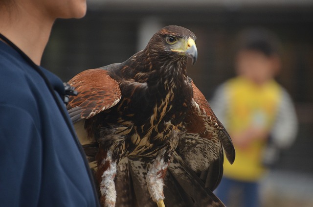 DSC_5996.jpg