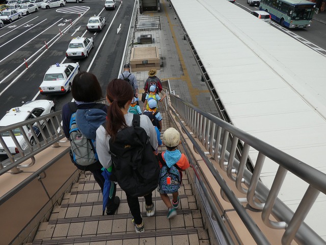 P1010469.jpg