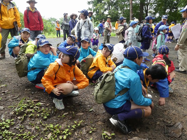 P1010481.jpg