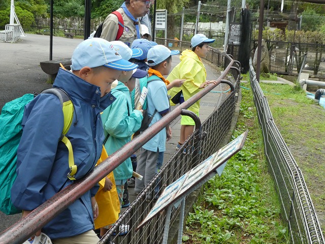 P1010492.jpg