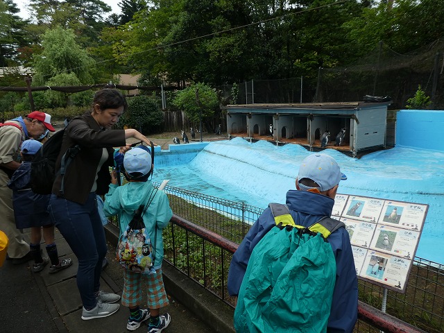 P1010494.jpg