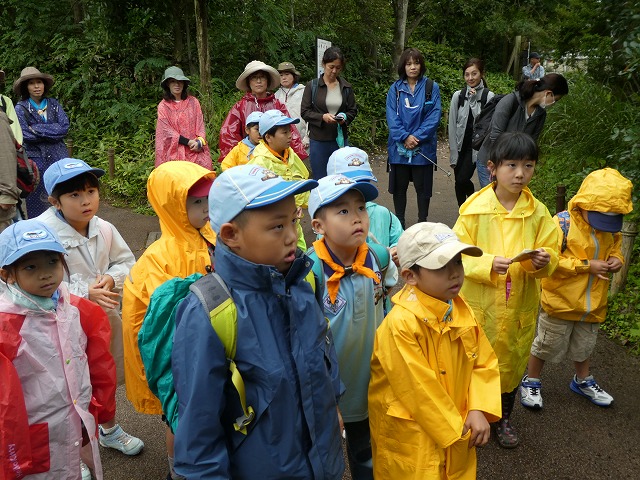 P1010523.jpg
