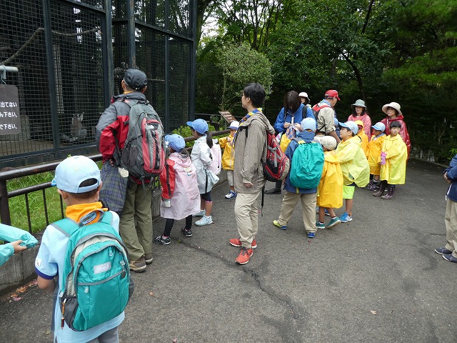 P1010524.jpg