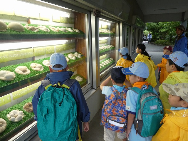 P1010528.jpg