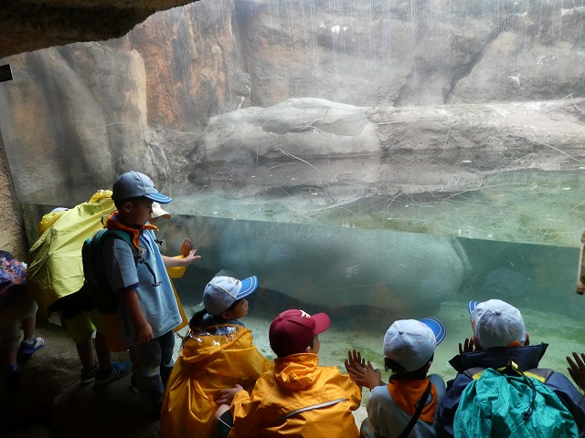 P1010530.jpg