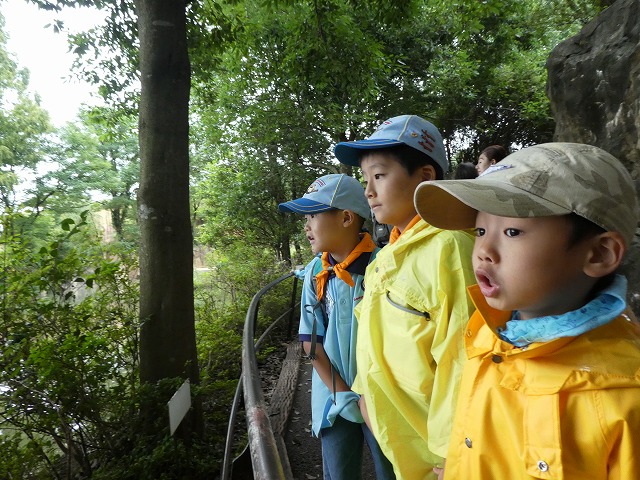 P1010533.jpg