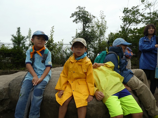 P1010534.jpg