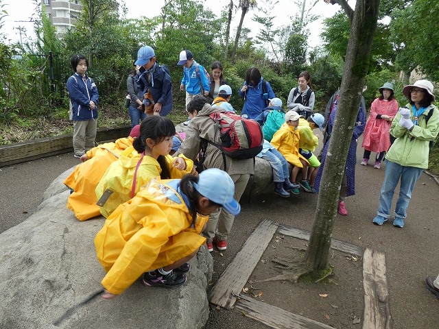 P1010535.jpg