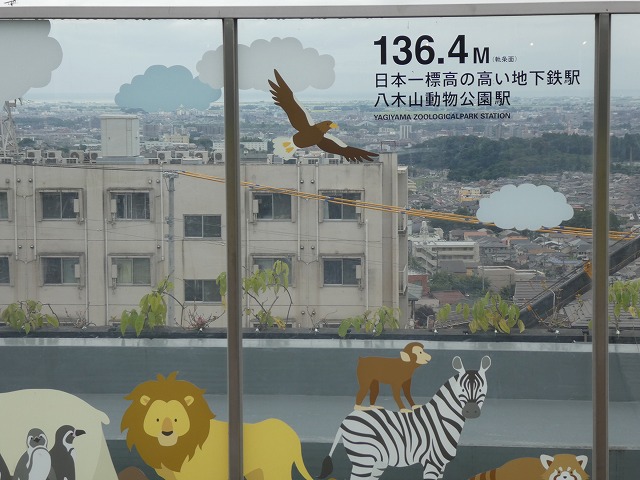 P1010551.jpg