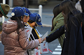 DSC_6003_thumb.png