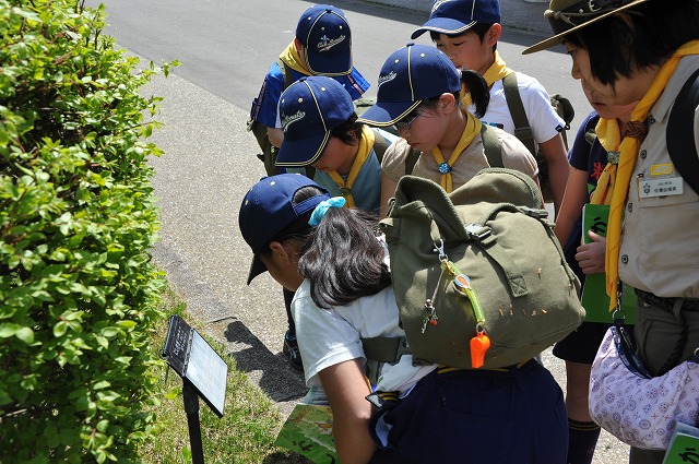 DSC_6518.jpg