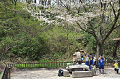 DSC_6525_thumb.png
