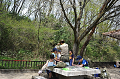 DSC_6526_thumb.png