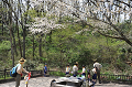 DSC_6527_thumb.png
