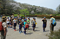 DSC_6535_thumb.png