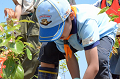 DSC_7923_thumb.png