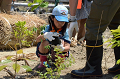 DSC_7955_thumb.png