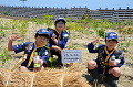 DSC_7964_thumb.png