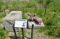 DSC_7983_thumb.png