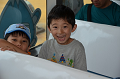 DSC_0393_thumb.png